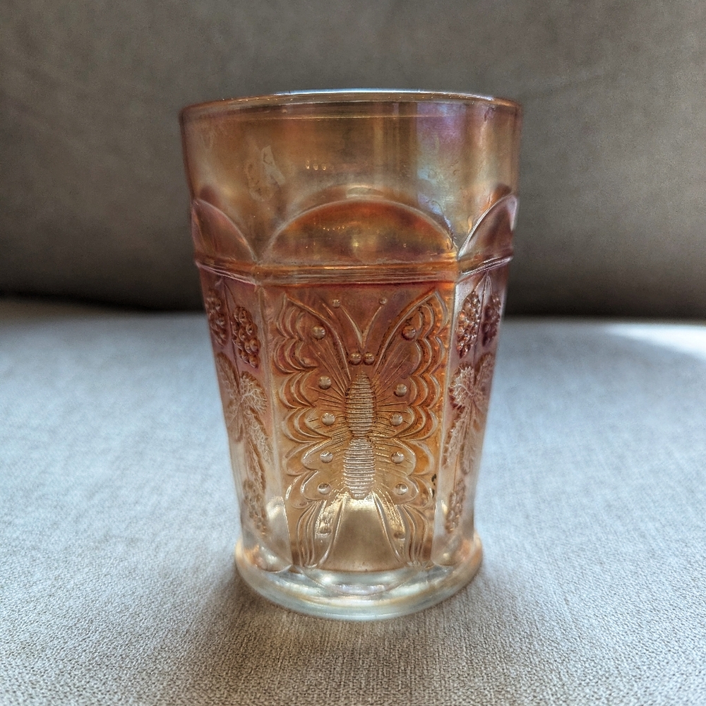 Iridescent Glass Tumbler with Floral Design